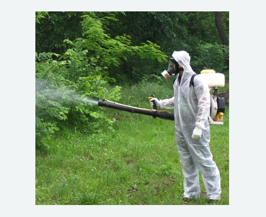 обработка территории от клещей в Знаменске