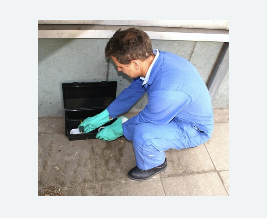 Уничтожение мышей в Знаменске Уничтожение мышей