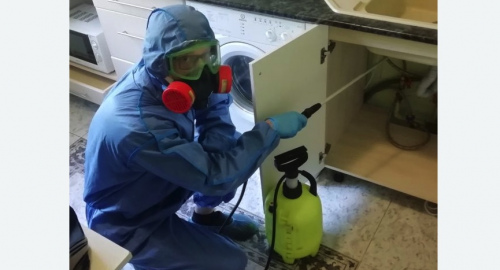 Уничтожение муравьев в квартире. Знаменск