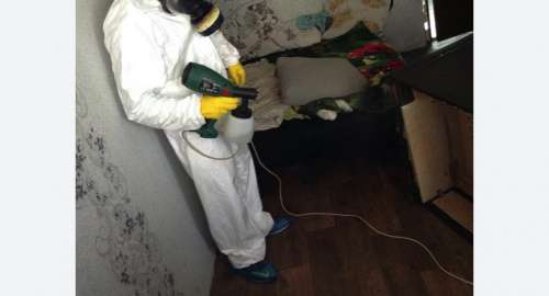 Обработка квартир от насекомых в Знаменске