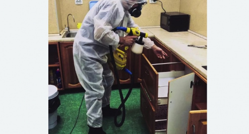 Дезинсекция квартиры. Знаменск