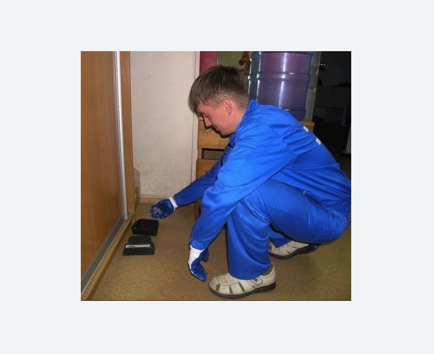 Дератизация крыс в Знаменске