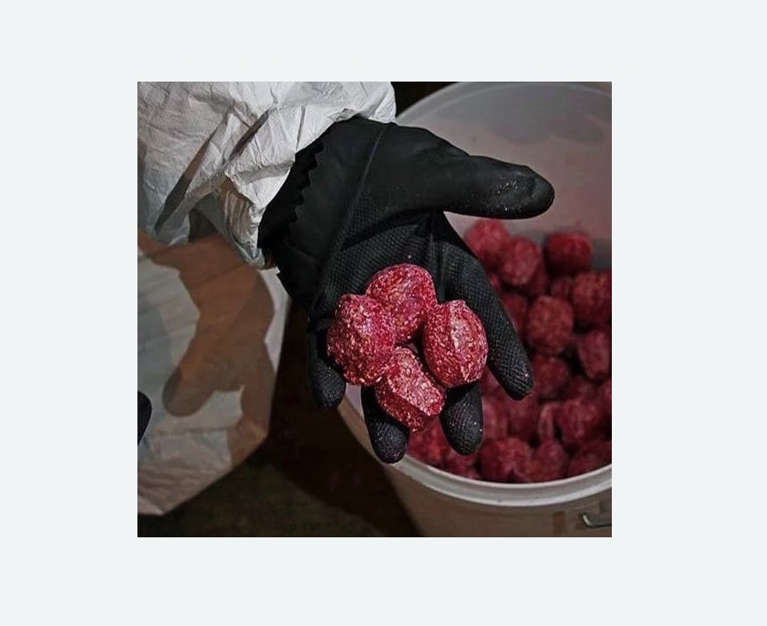 Обработка от крыс в Знаменске