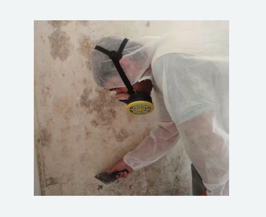 Обработка стен от плесени в Знаменске