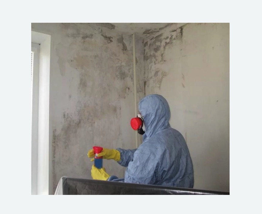 Удаление плесени в квартире в Знаменске