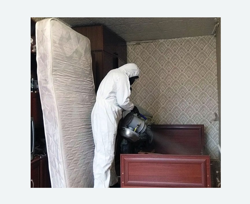 дезинфекция от клопов в Знаменске