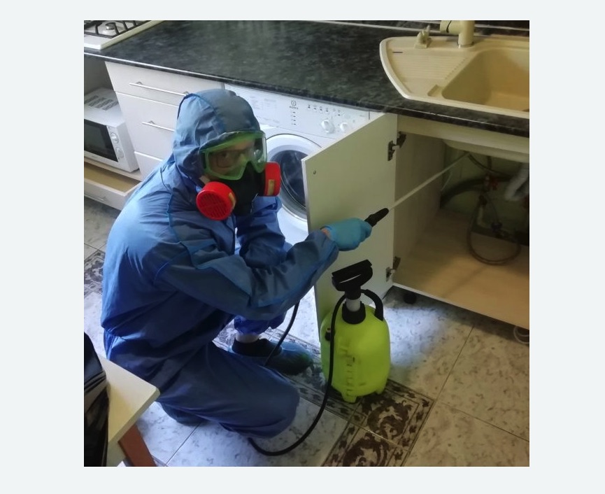 обработка от муравьев в квартире в Знаменске