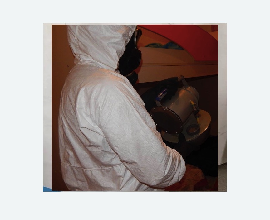 Дезинфекция от муравьев в Знаменске